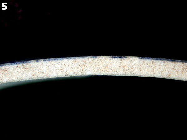 PORCELAIN, CH ING BLUE ON WHITE specimen 5 side view