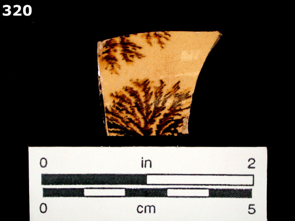 ANNULAR WARE, MOCHA specimen 320 front view