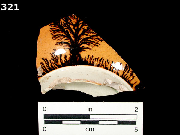 ANNULAR WARE, MOCHA specimen 321 front view