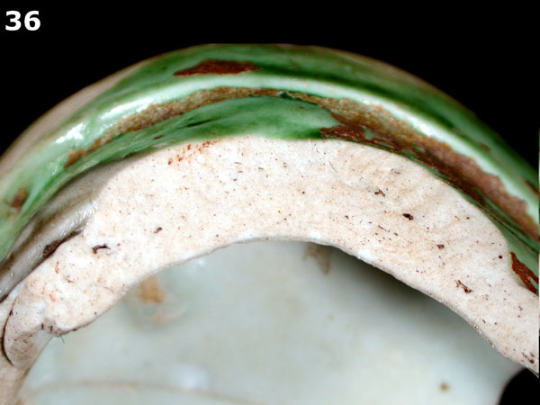 PORCELAIN, MING POLYCHROME specimen 36 side view