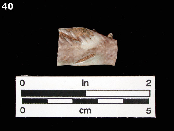 PORCELAIN, MING POLYCHROME specimen 40 front view