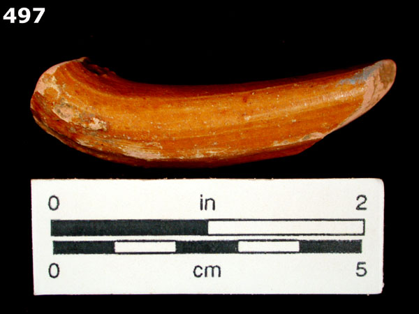 MELADO specimen 497 front view