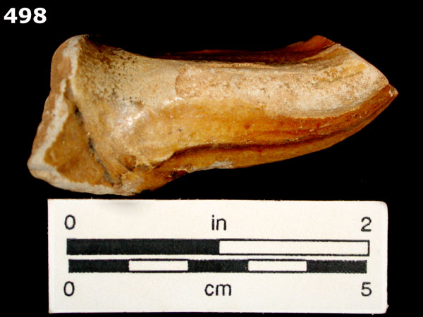 MELADO specimen 498 front view