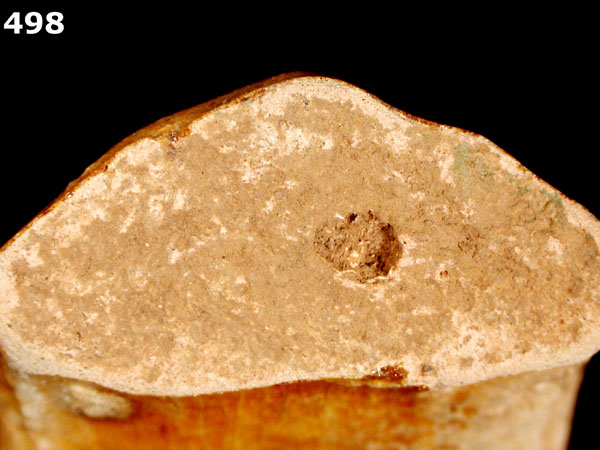 MELADO specimen 498 side view