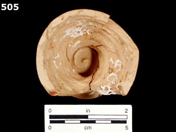 BIZCOCHO specimen 505 rear view