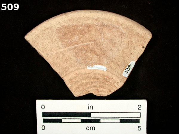 BIZCOCHO specimen 509 rear view