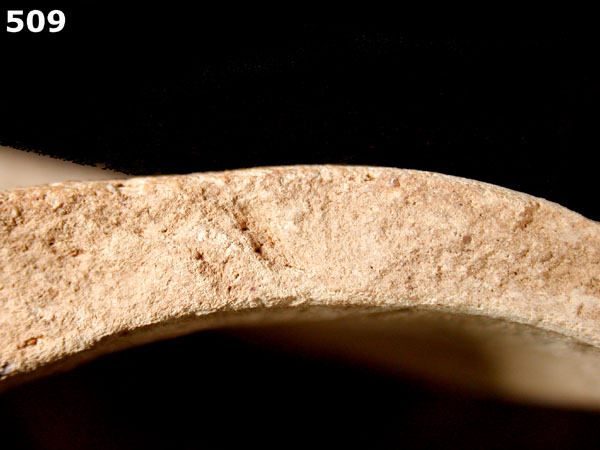 BIZCOCHO specimen 509 side view