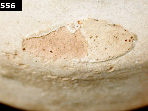 COLUMBIA PLAIN specimen 556 side view
