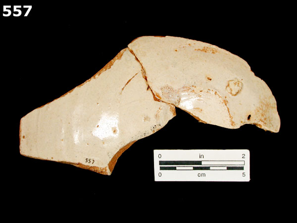 COLUMBIA PLAIN specimen 557 rear view