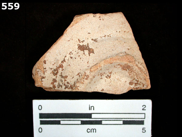 COLUMBIA PLAIN specimen 559 rear view