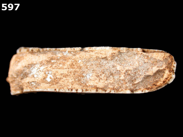 SEVILLA WHITE specimen 597 side view