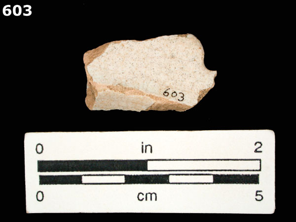 SEVILLA WHITE specimen 603 rear view