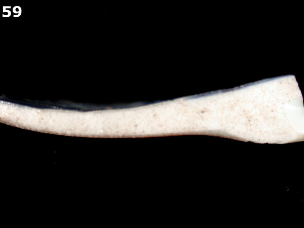 PORCELAIN, BROWN GLAZED specimen 59 side view