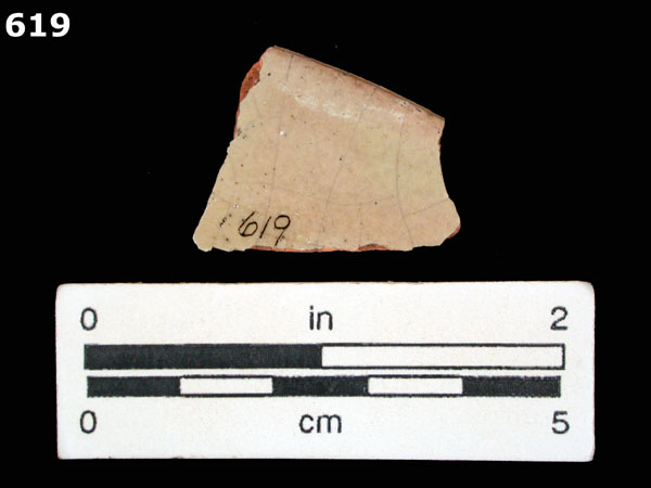 MEXICO CITY WHITE-VARIETY 2 specimen 619 rear view