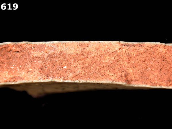 MEXICO CITY WHITE-VARIETY 2 specimen 619 side view