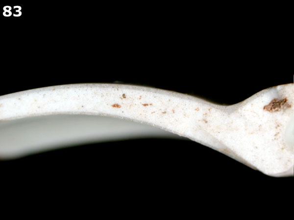 PORCELAIN, BONE CHINA specimen 83 side view