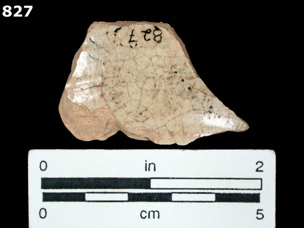 AUCILLA POLYCHROME specimen 827 rear view