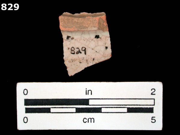 AUCILLA POLYCHROME specimen 829 rear view