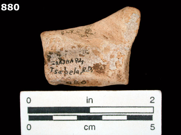 ISABELA POLYCHROME specimen 880 rear view