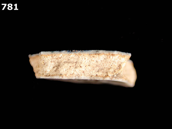CASTILLO POLYCHROME specimen 781 side view