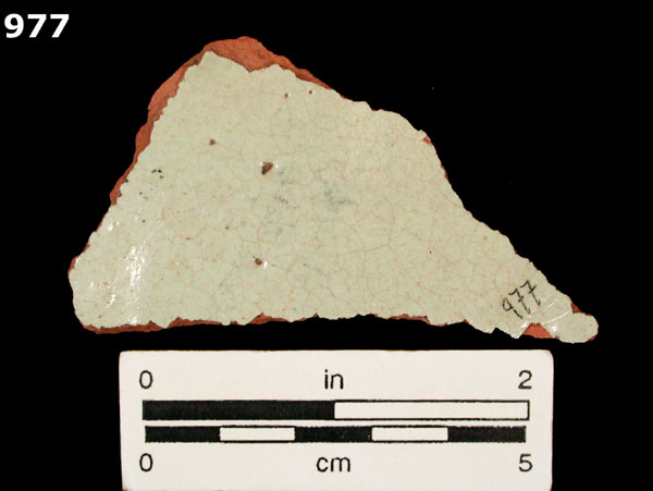 PANAMA BLUE ON WHITE specimen 977 rear view