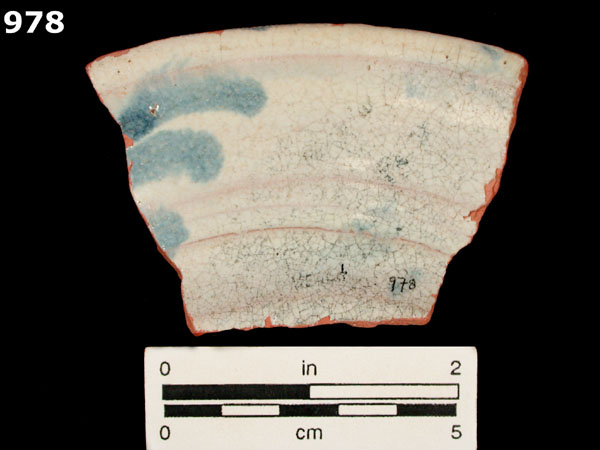 PANAMA BLUE ON WHITE specimen 978 rear view