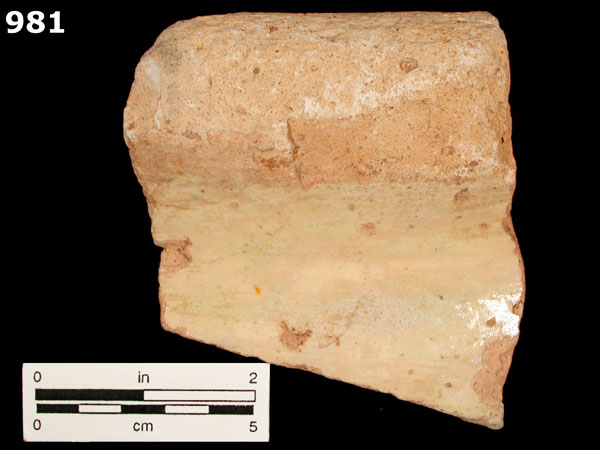 BIOT JAR specimen 981 