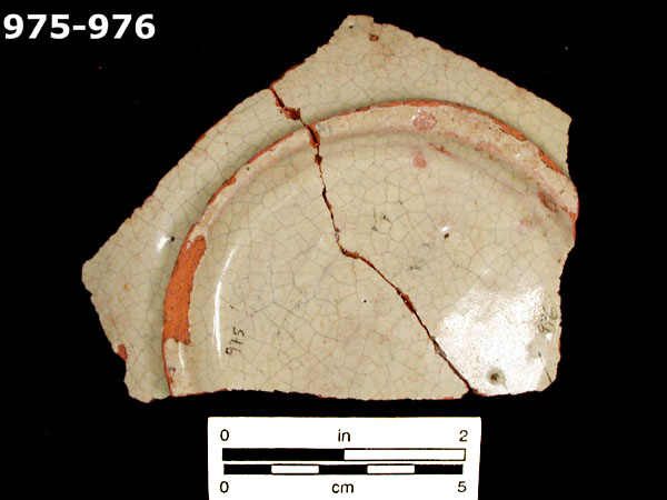 PANAMA BLUE ON WHITE specimen 975 rear view