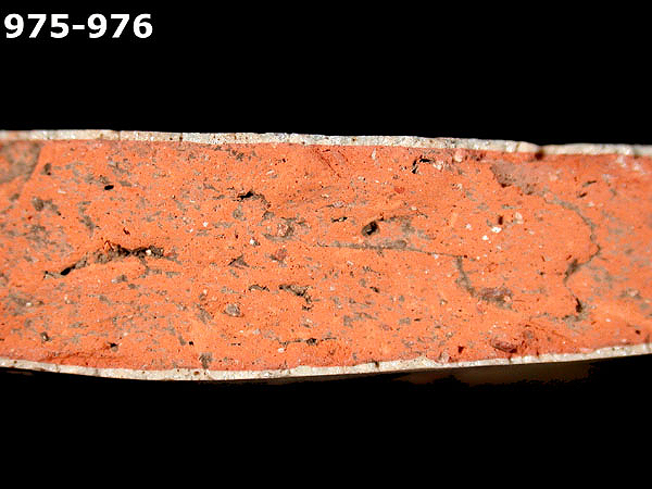 PANAMA BLUE ON WHITE specimen 975 side view