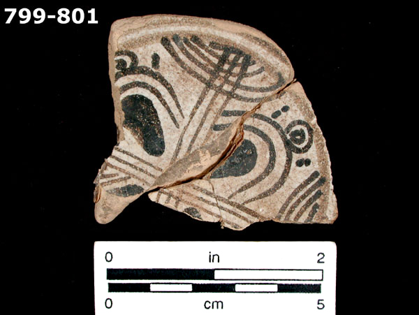 PUEBLA POLYCHROME specimen 801 