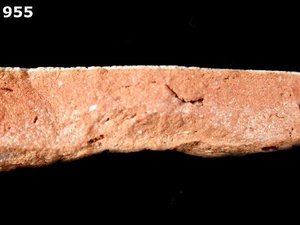 MARINE WARE, VARIANT specimen 955 side view