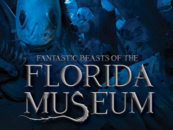 Fantastic Beasts Card