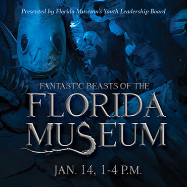 Fantastic Beasts Card