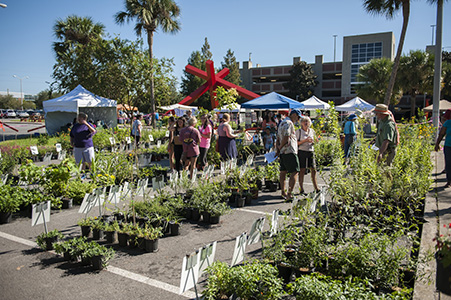 ButterflyFest 2016