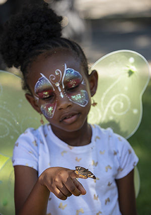 ButterflyFest 2018