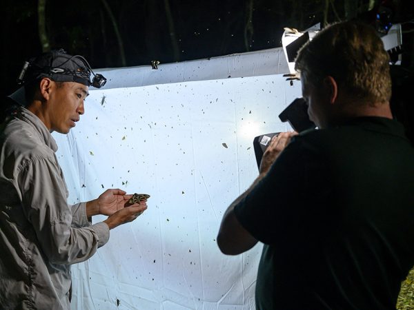 filming, man holding moth