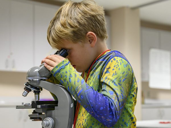 Kid looking through microscope