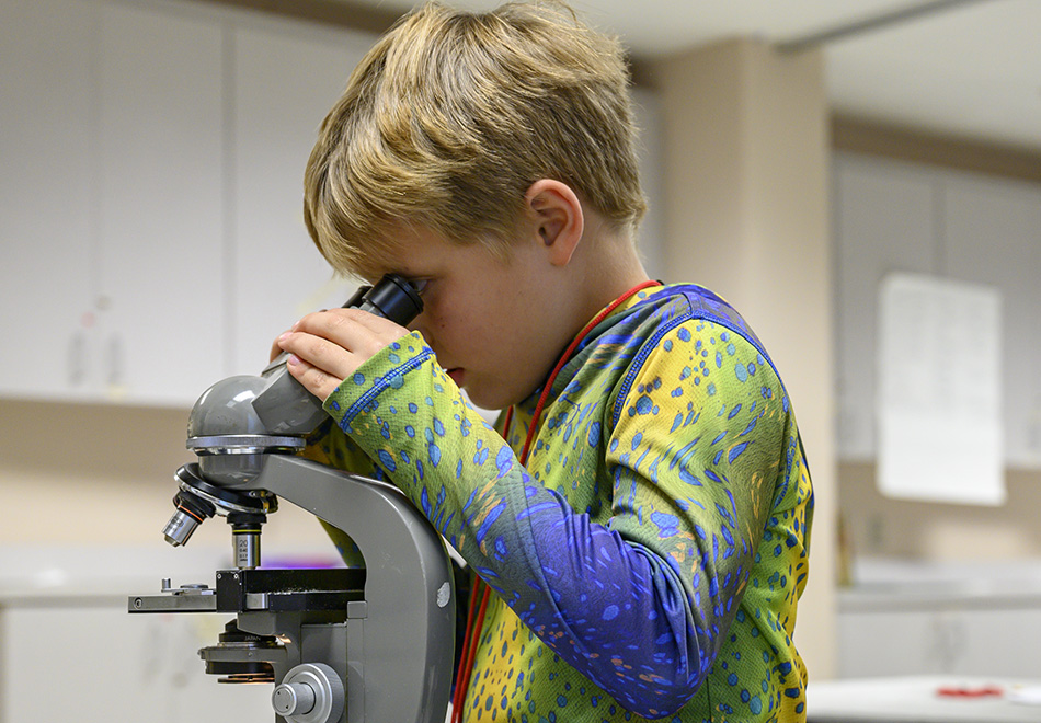 Kid looking through microscope