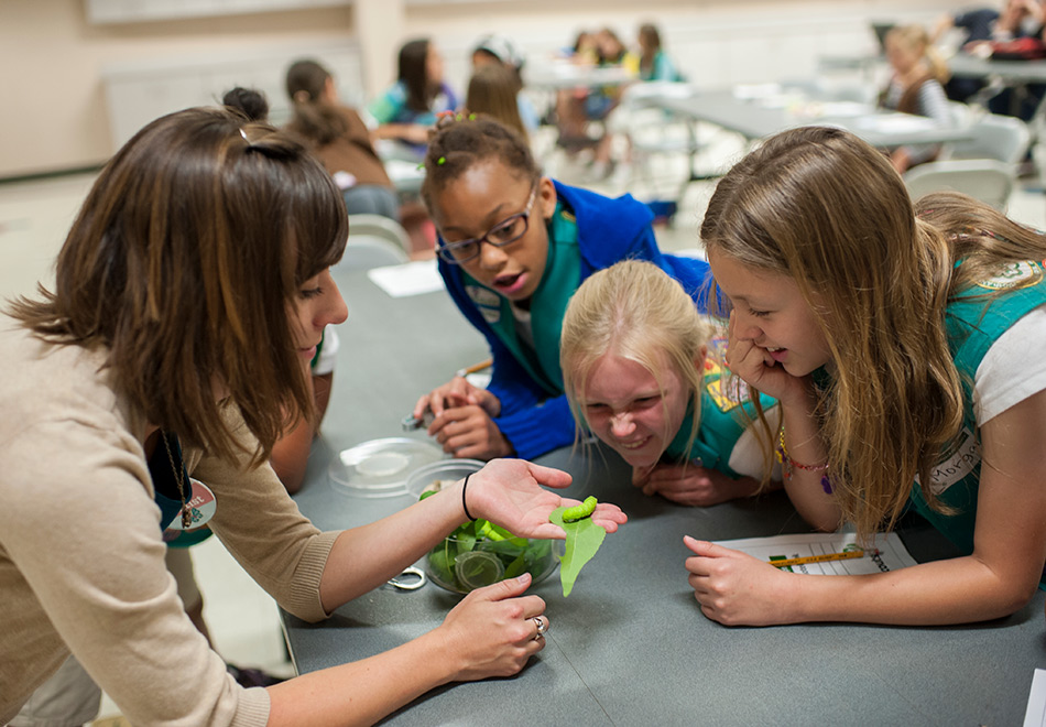 Girl scouts caterpillar header