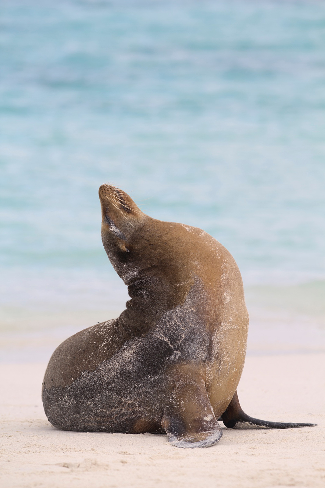 Expedition to the Galápagos Islands – Florida Museum