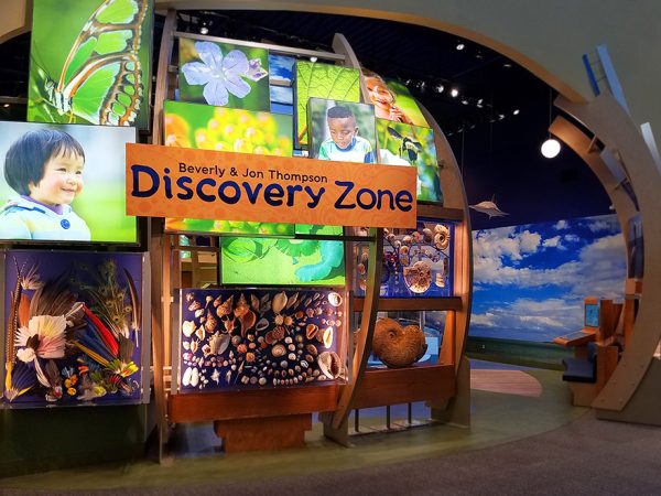 discovery zone, half header