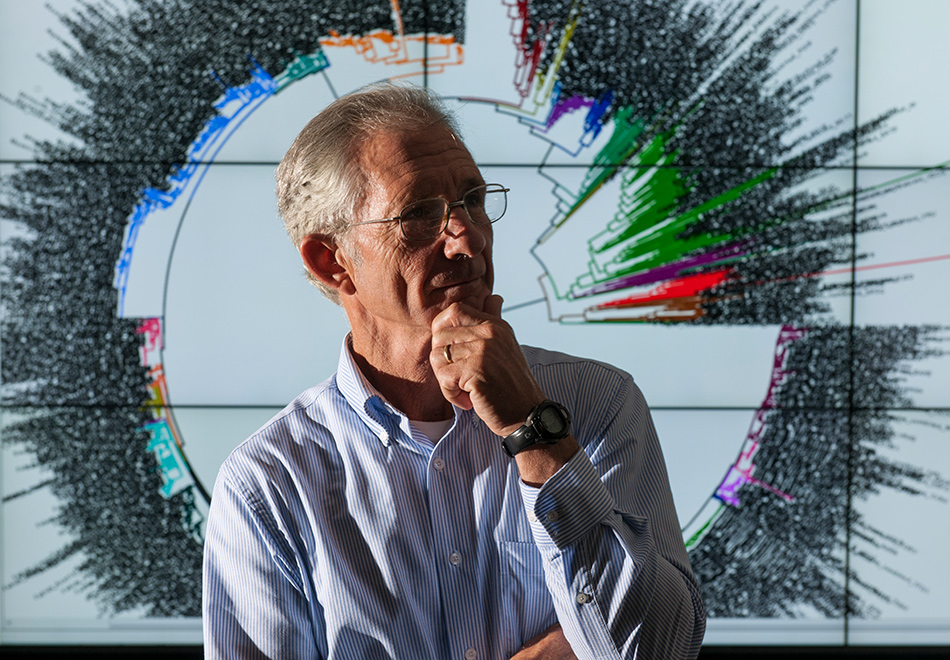 Doug Soltis, tree of life, half header