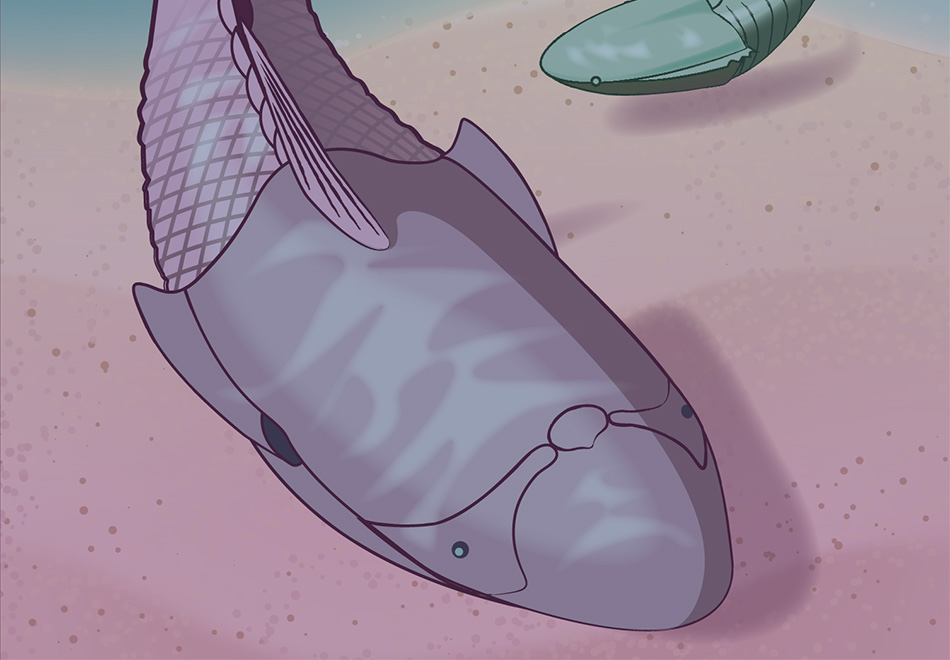 graphic of fish underwater