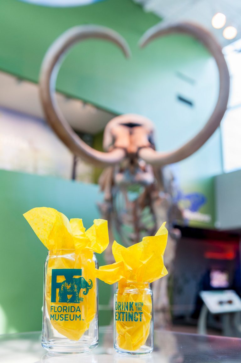 Drink with the Extinct Florida Museum