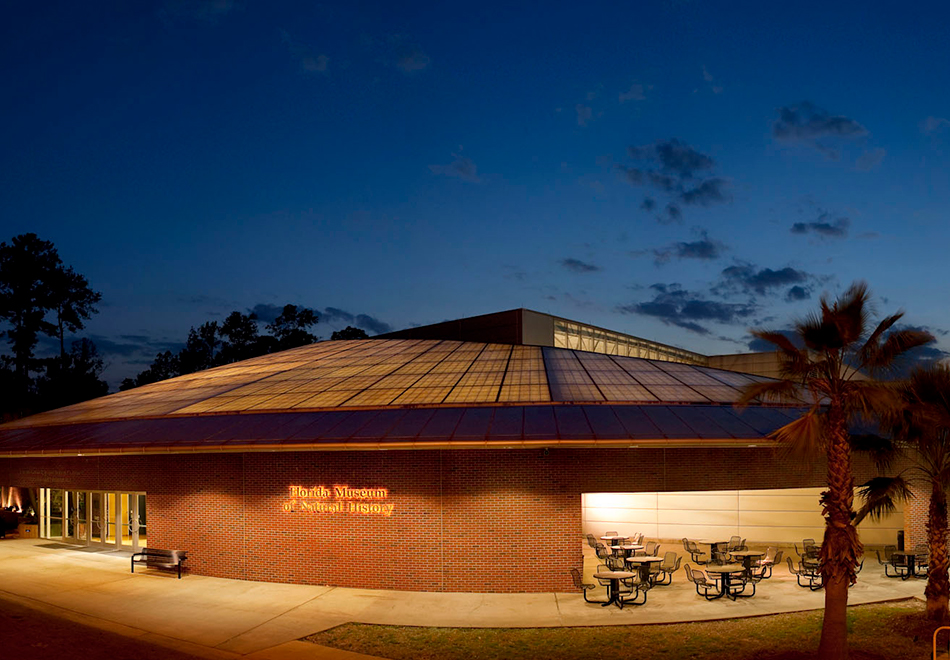Powell exterior at night, half header