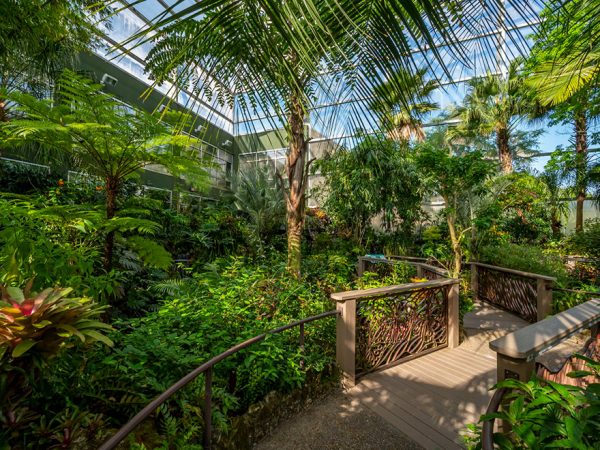 wide view of enclosed butterfly forest exhibit