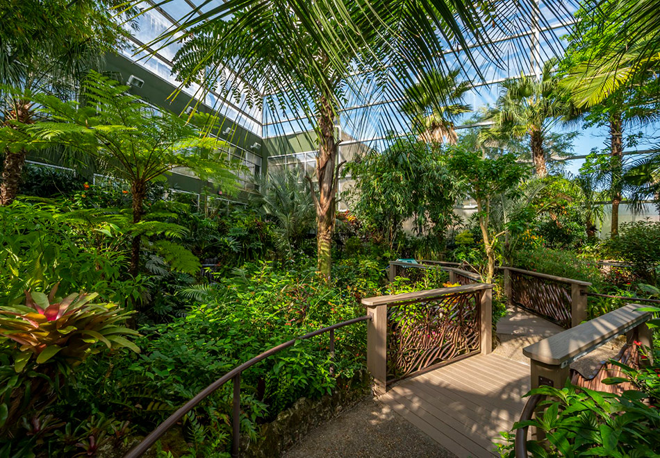 wide view of enclosed butterfly forest exhibit