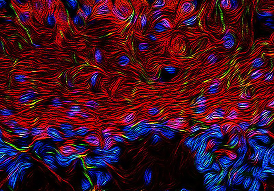 Science Café: From Nose to Brain