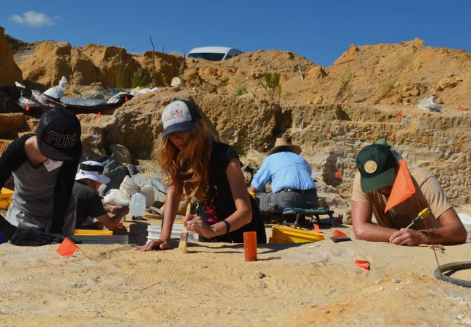 Science Café: Ice Age and Pre-human Bird Diversity in the New World