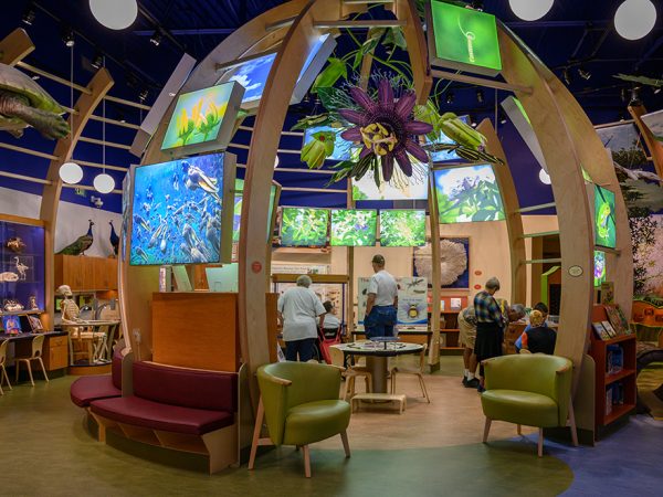 discovery zone exhibit